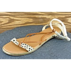 Dolcetta Size 8 M Brown‎ Strappy Synthetic Women Sandal Shoes Sammie